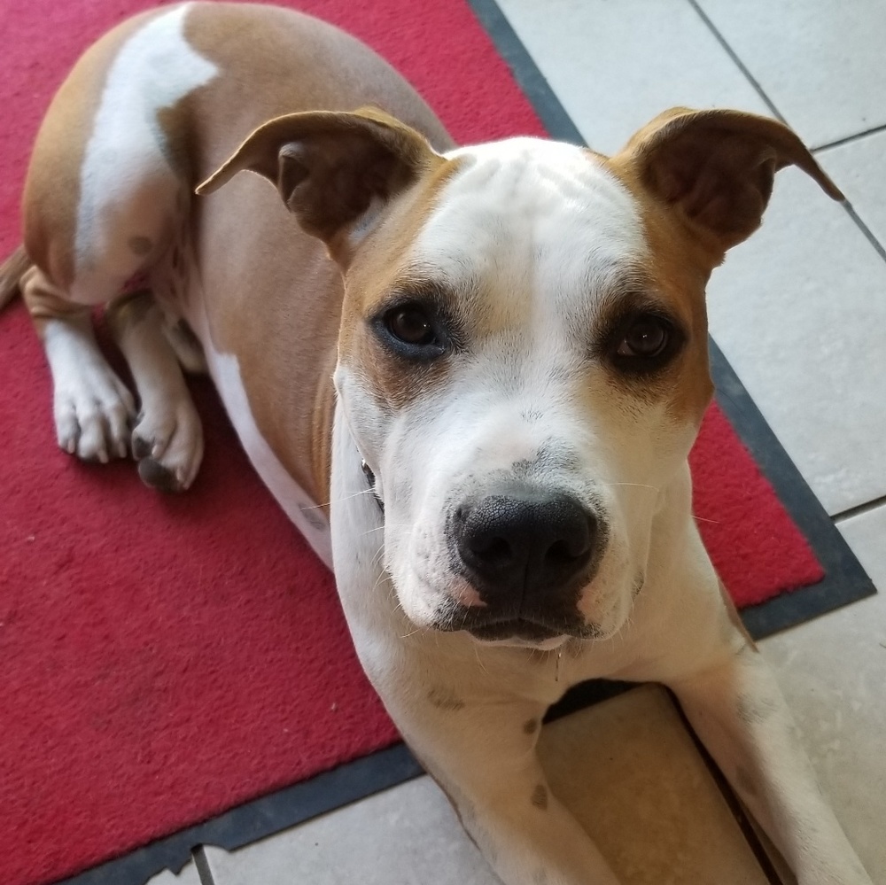 Meet your Posher, Ksren